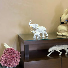 Miss Peach Elephant | White Colour