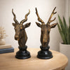 Elegant Golden Deer Head Showpiece 2 Set (Pair) – 14" Resin Vastu Decor & Gift